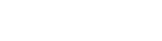 Original-Kopexa-Logo in Weiß